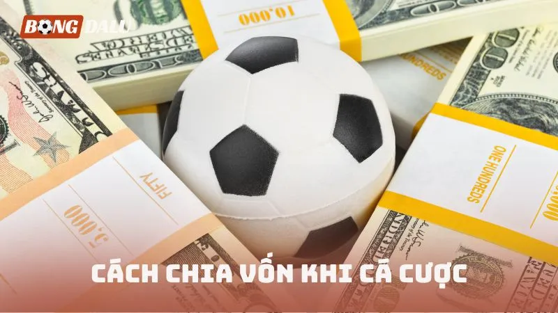Cách chia vốn khi cá cược
