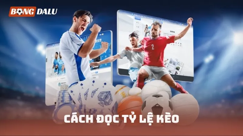 Cách đọc tỷ lệ kèo