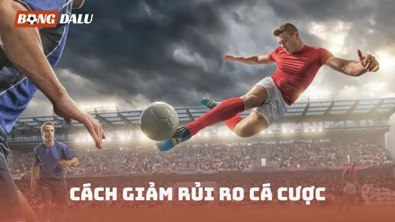 Cách giảm rủi ro cá cược
