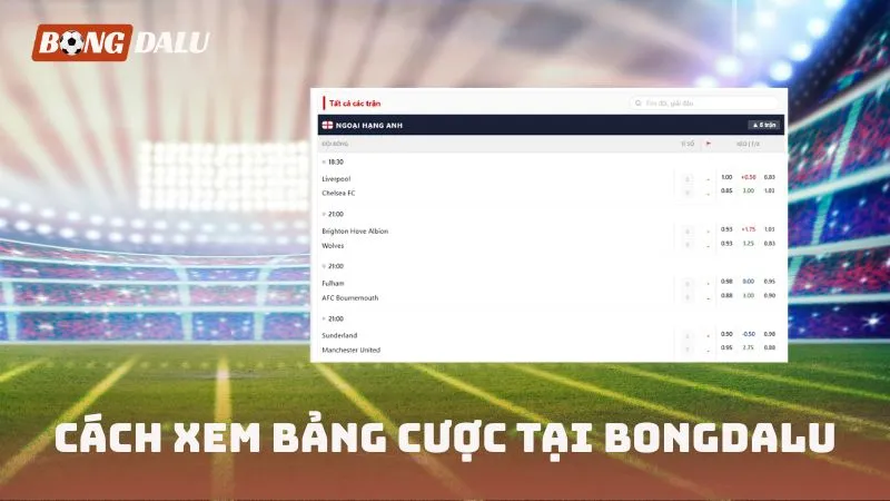 Cách xem bảng cược tại BONGDALU