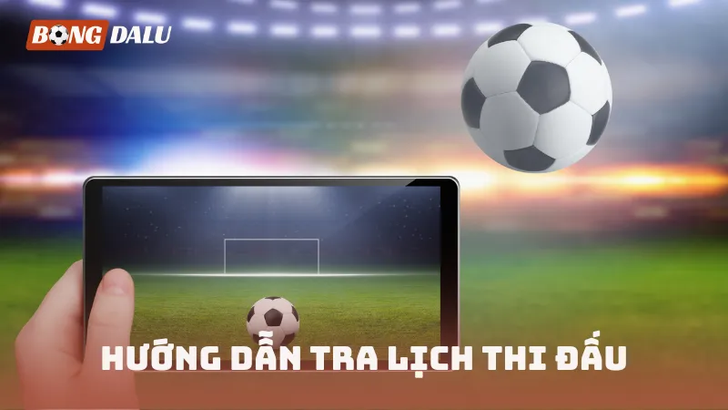 Hướng dẫn tra lịch thi đấu