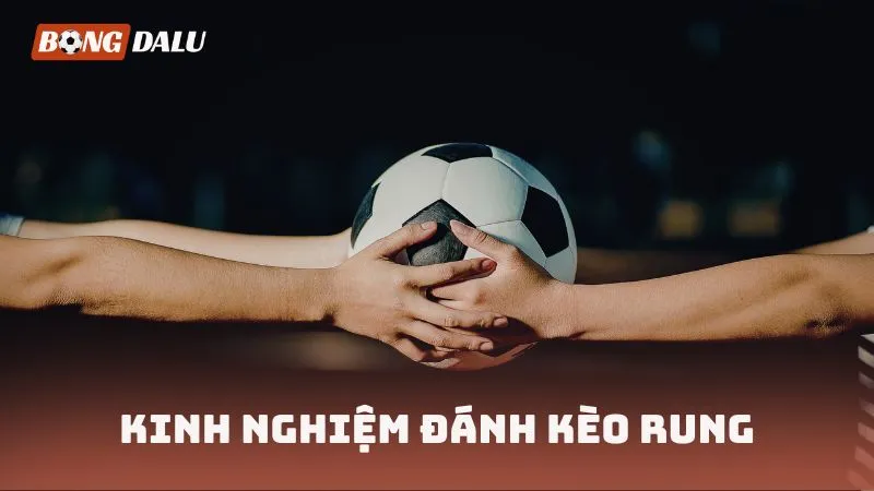Kinh nghiệm đánh kèo rung