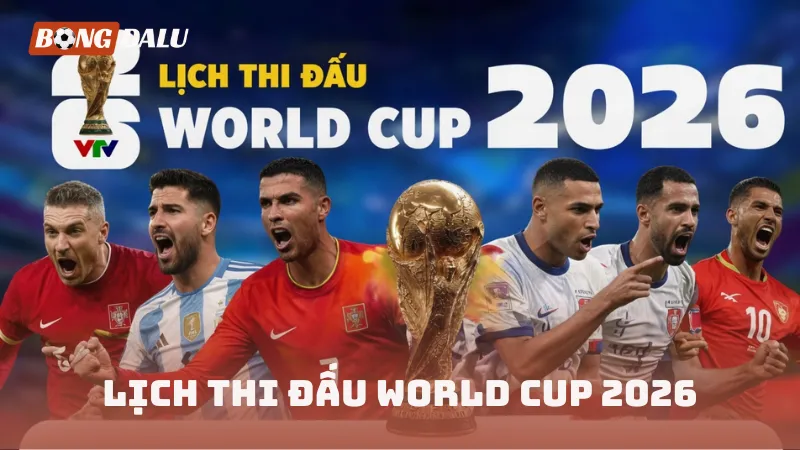 Lịch thi đấu World Cup 2026