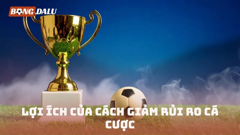 Lợi ích của cách giảm rủi ro cá cược