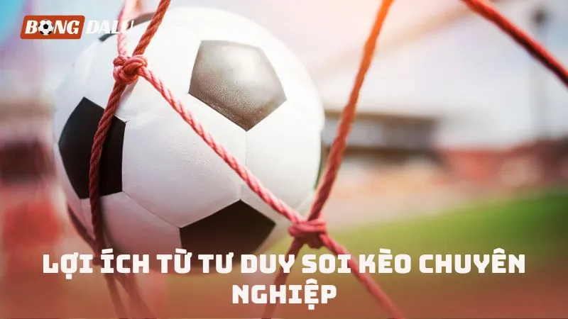 Lợi ích từ tư duy soi kèo chuyên nghiệp