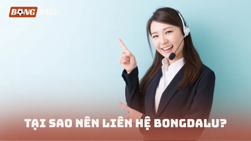 Lý do nên liên hệ BONGDALU