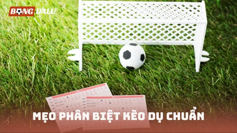 Mẹo phân biệt kèo dụ chuẩn