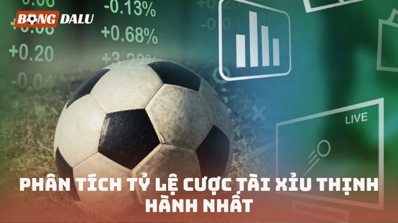 Phân tích tỷ lệ cược Tài Xỉu thịnh hành nhất