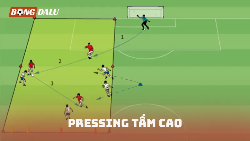 Pressing tầm cao