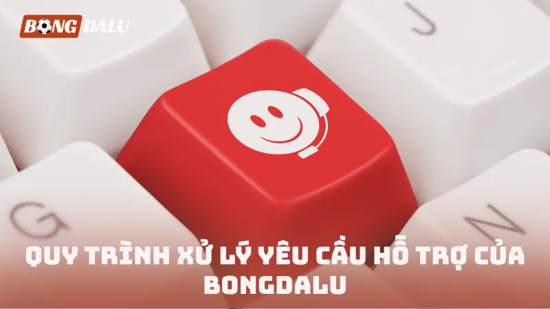 Quy trình xử lý yêu cầu hỗ trợ của BONGDALU