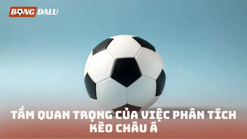 Tầm quan trọng của việc phân tích kèo châu Á
