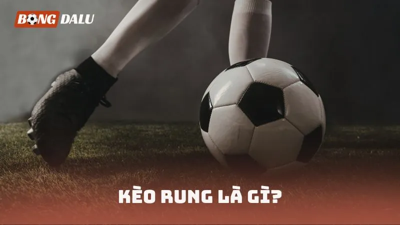 Tìm hiểu về kèo rung