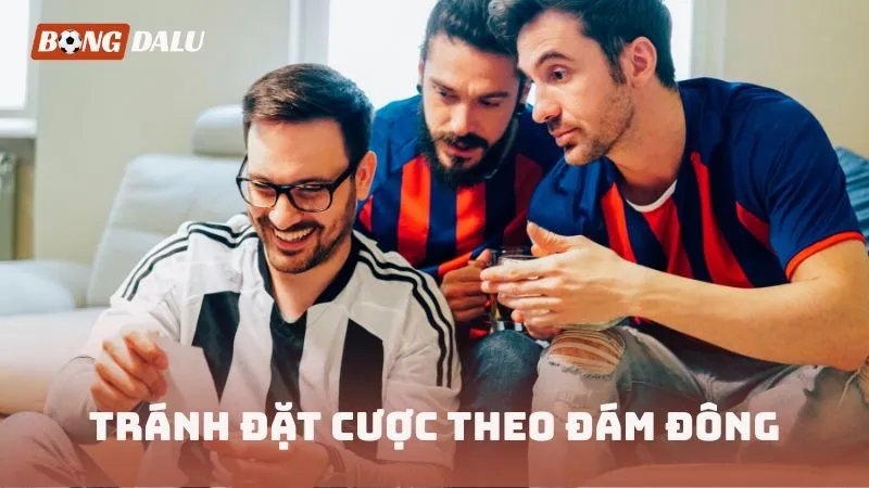 Tránh đặt cược theo đám đông